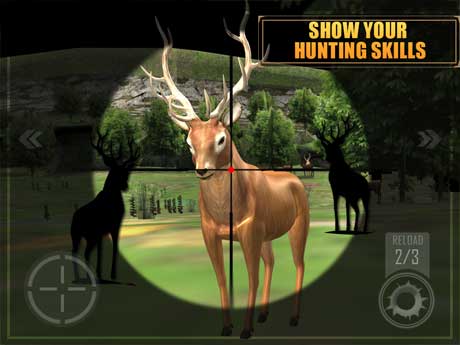 Deer Hunting Sniper Shooting