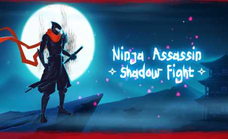 Ninja Assassin: Shadow Fight