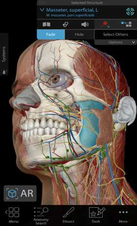 Human Anatomy Atlas 2019: Complete 3D Human Body