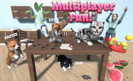 Cat Simulator - and friends 🐾